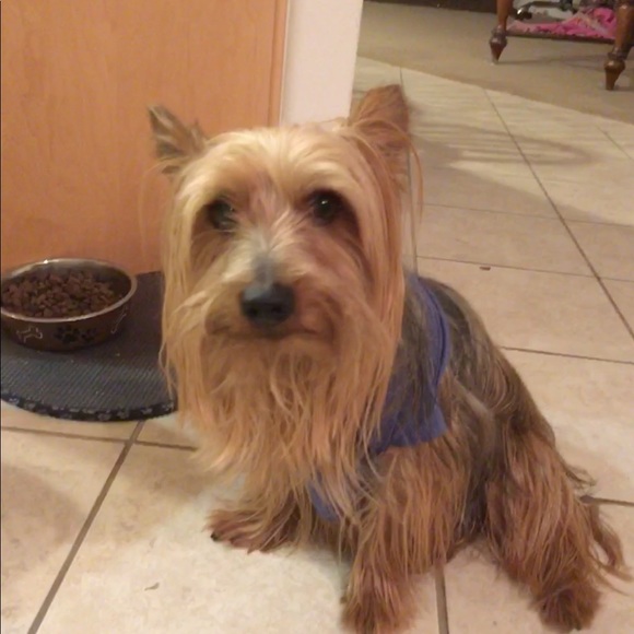 Meet your Posher, Cathy - Picture 3 of 5